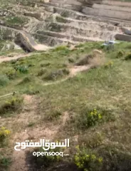  1 ارض في بيت تعمر 450