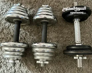  3 dumbbells for sale