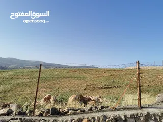  5 قطعة أرض مميزة للبيع في السلط الصبيحي قصيب مرتفعة ومطلة بسعر مغري