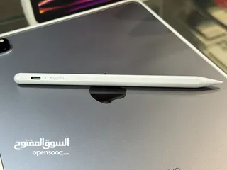  6 iPhone pro 11 inch
