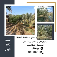  4 بستان مساحتة 2400 م