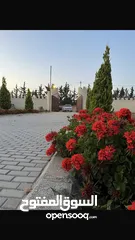  12 مزرعه وشاليه صوفيا طريق المطار ام العمد  للاجار اليومي والمناسبات