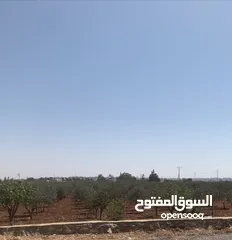  3 مزرعه جميله في مادبا جبيل