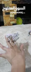  7 جوزين كوكتيل للبيع