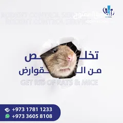  6 IPC Is Providing 24/7 Pest Control Service in Bahrain - Contact Now!