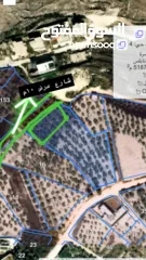  1 قطعة أرض سكنية مميزة للبيع غرب نابلس