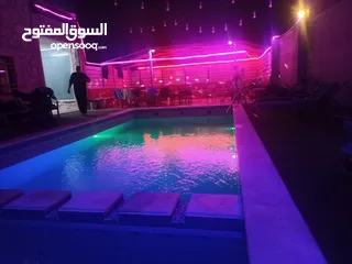  13 مزرعة العلياء للإيجار