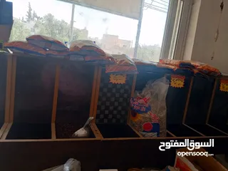  2 طاحونه قهوه زائد عيون لوضع القهوه والمكسرات