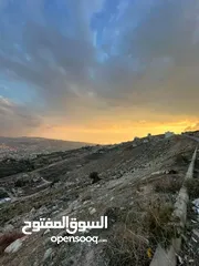  4 فرصة ذهبية لامتلاك أرض في أم الدنانير! أرض مميزة للبيع – استثمار ذكي أو سكن هادئ