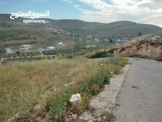  2 نمر للبيع بمساحات متعدده