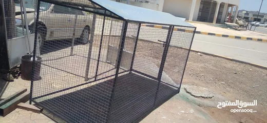  1 net cage model 2024