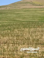  1 ارض زراعية للبيع