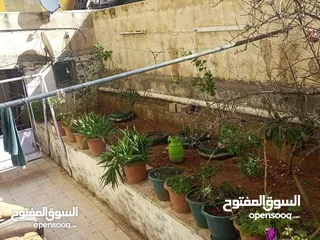  3 شقه للبيع للبيع جبل النزهه
