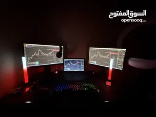  13 جهاز لابتوب hpمع شاشتين 168hz Lenovo مع طاولة gaming+كرسي gaming + اضاءة spotlight + جميع الملحقات