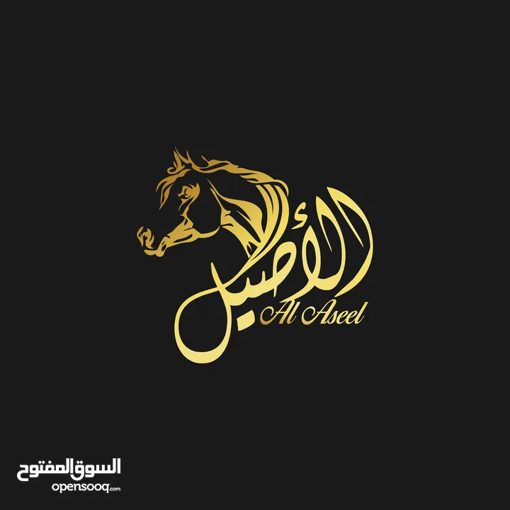 تصميم شعارات logo - لوجو / هويه بصريه - بزنس كارد ـ دعوات افراح الكترونيه - بروفايل كومباني