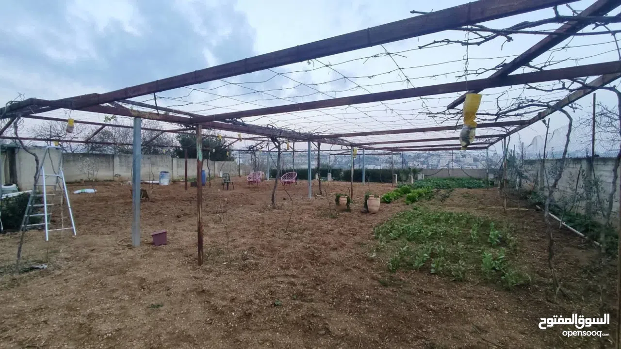 فلا وارض مميزه للبيع