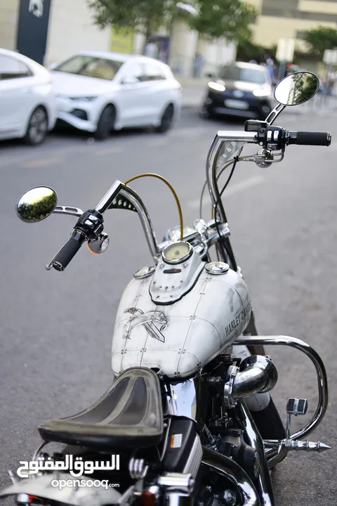 HARLEY DAVIDSON STREET BOP IN EXCELLENT CONDITION