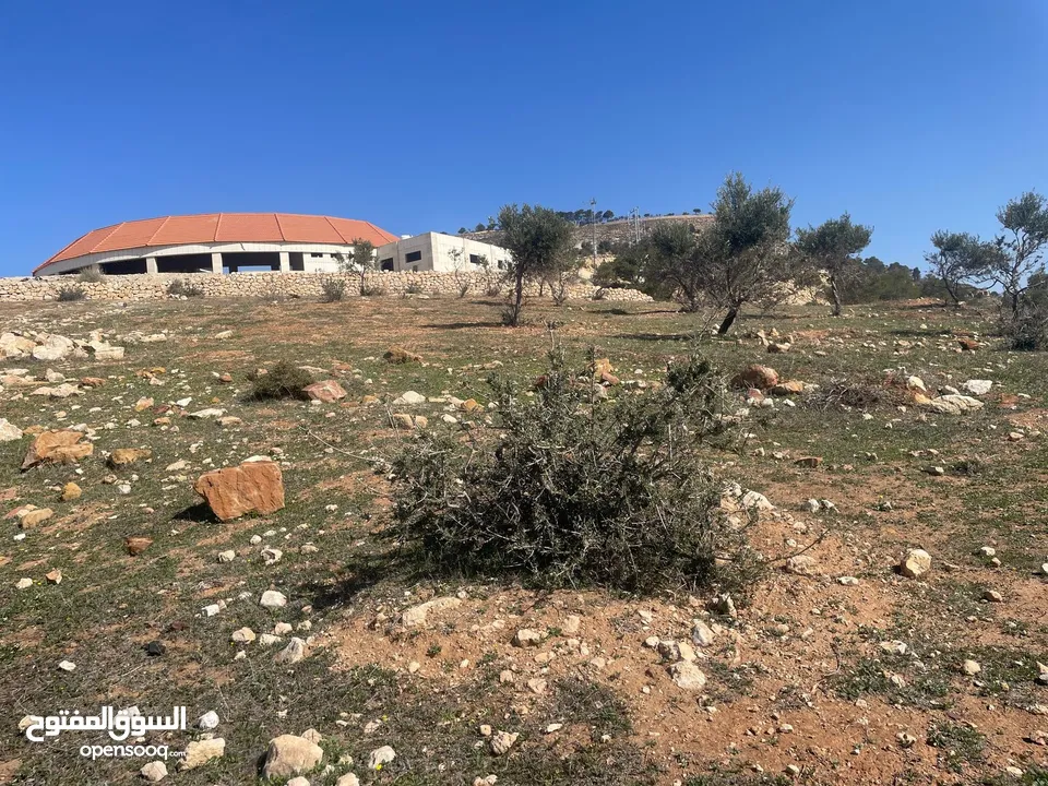 ارض للبيع / الصبيحي 18 دونم تقع على شارع رئيسي ‏بإطلالة مميزة وجميلة ويوجد بجانبها مطعم