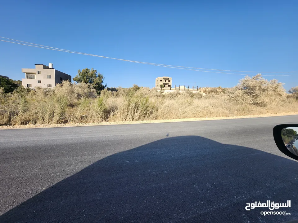 فرصة بالجاروشية