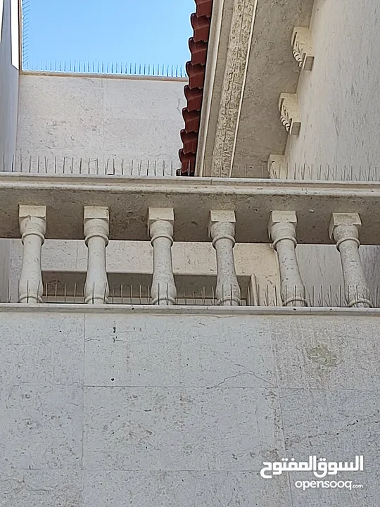 طارد الحمام والطيور