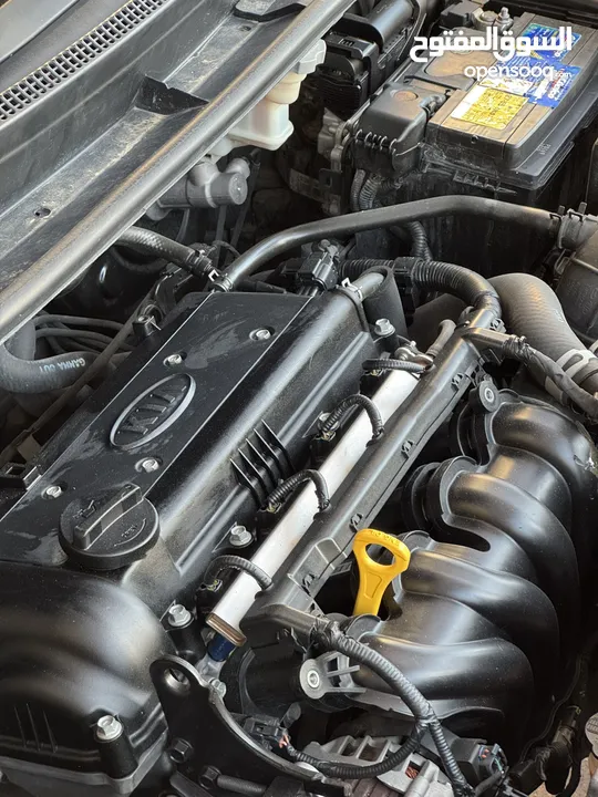 كيا ريو kia rio جيد 7 موديل 2016
