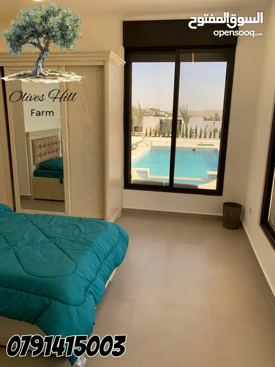 اوليفز هل فارم olives hill farm مزرعة فخمة للايجار
