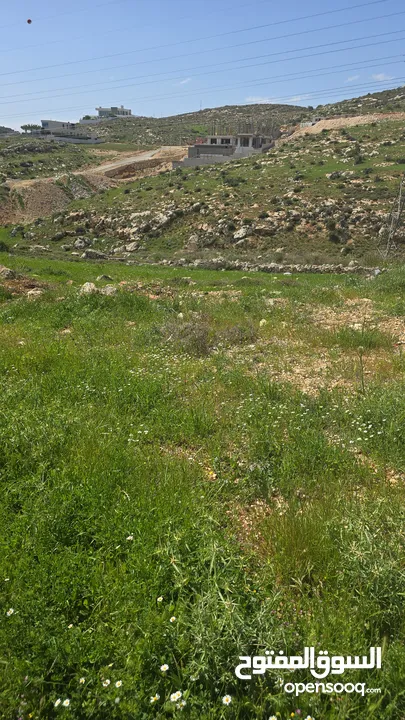 ارض بدر الجديده الرباحيه
