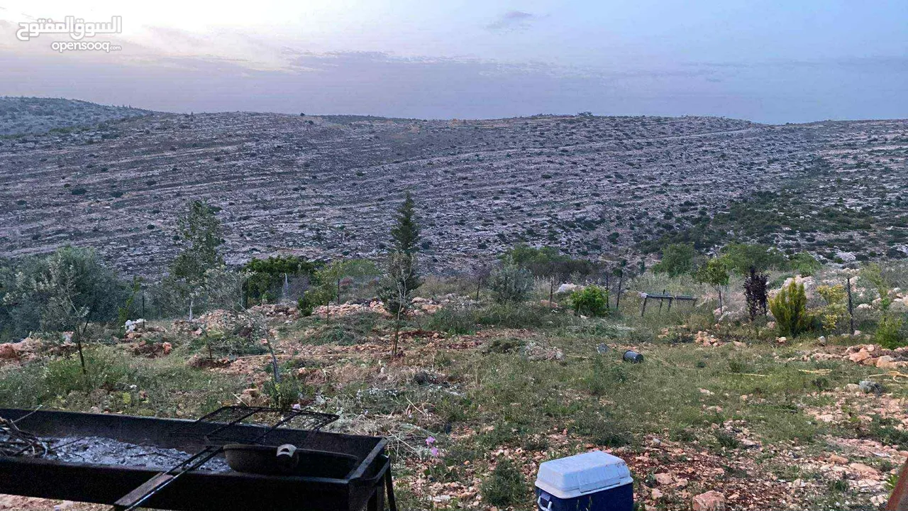 قطعه ارض نص دونم