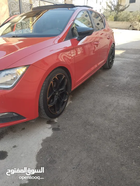 ليون فل الفل  معدله بلكامل