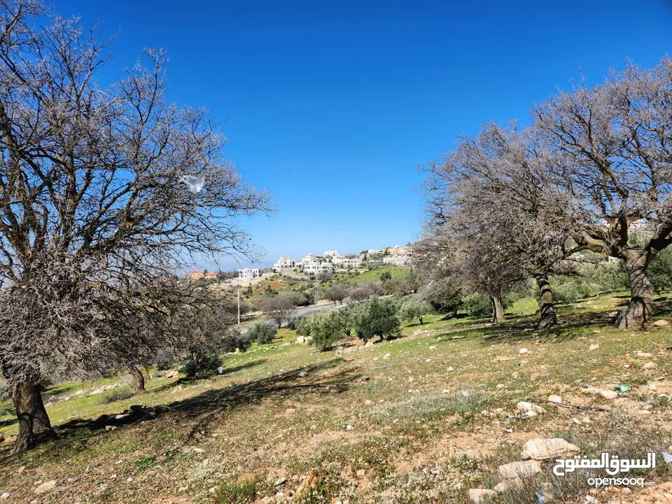 أرض مميزة للبيع في منطقة بدر الجديدة - الغروس الشرقي