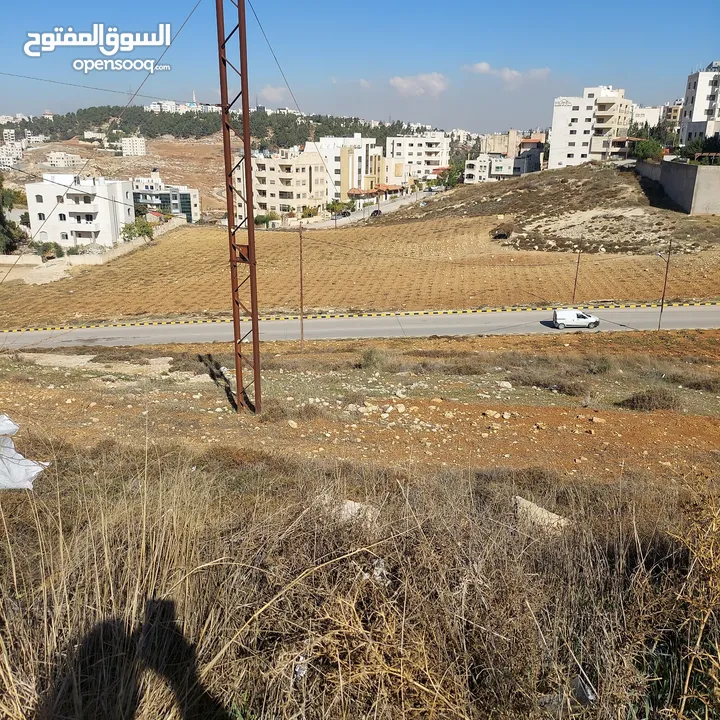 قطعه ارض للبيع مساحه 793 متر مربع  في عمان - ناعور - وادي الكبرا خلف محطه السلام طريق البحر الميت