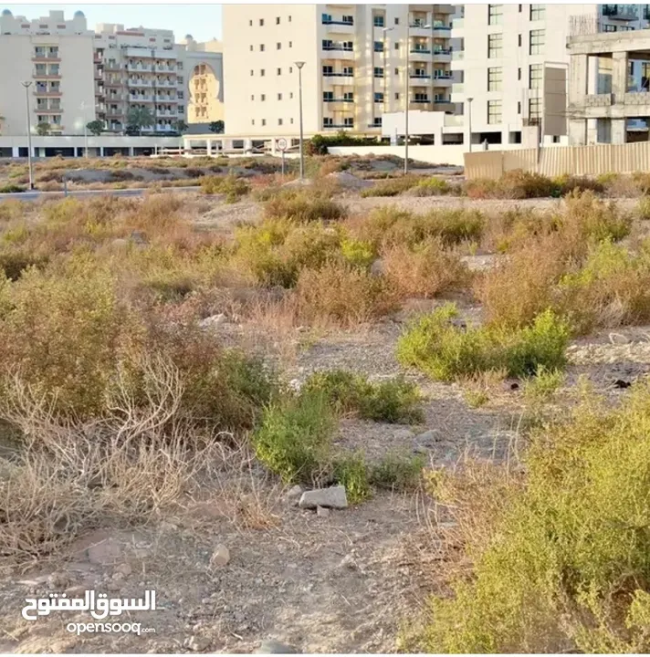 plot for sale in alwarsan in dubia