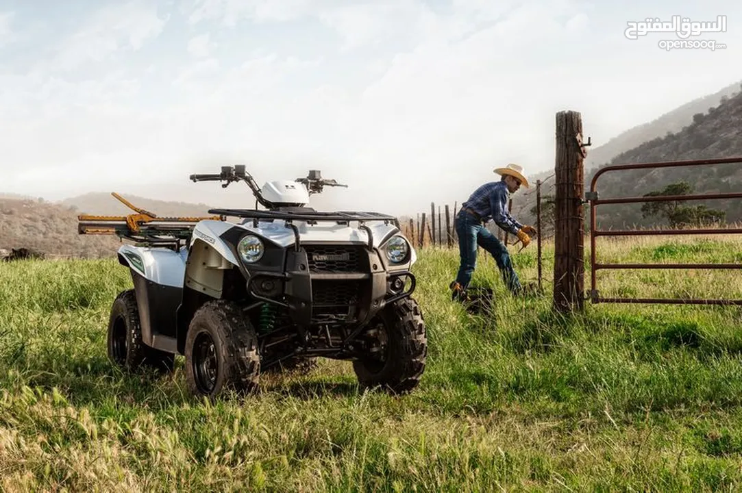 Kawasaki BRUTE FORCE 300