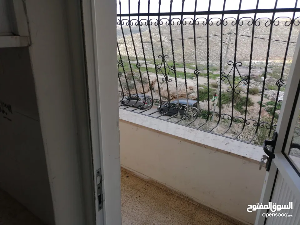شقة  في اسكان النمساوي