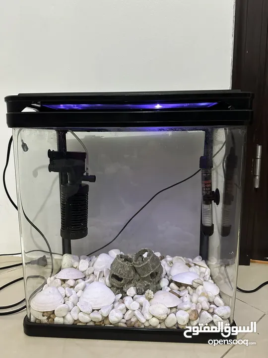 Fish Aquarium for Sale