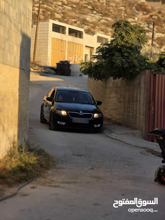 سياره سكودا اوكتافيا 2013