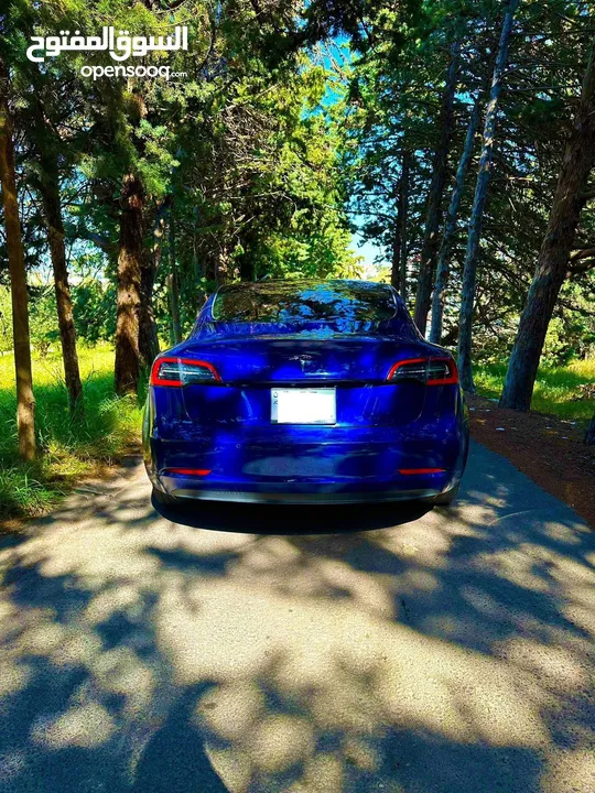 Tesla model 3 2022