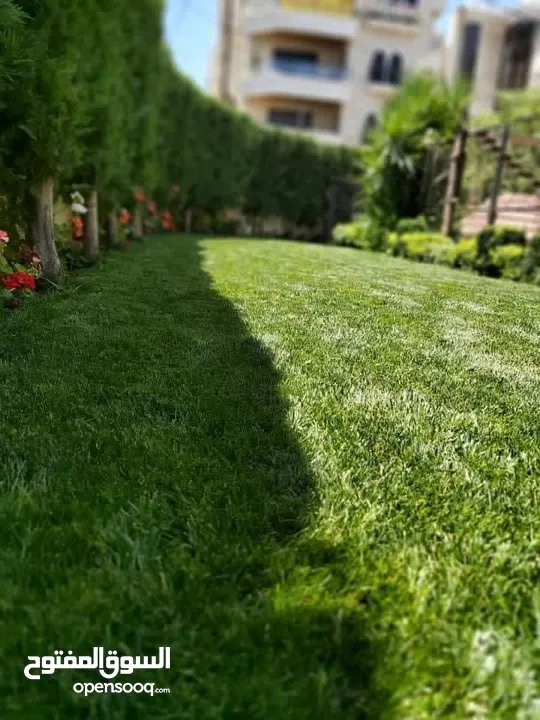 جميع أنواع الأشجار ( أشجار زينة - أشجار مثمرة )