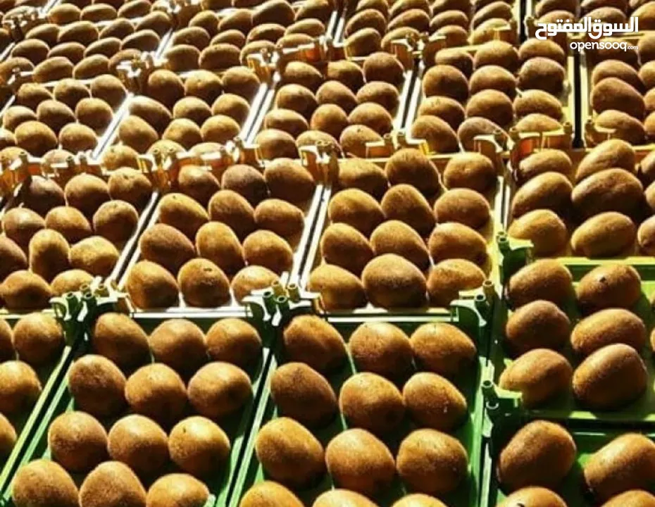 Dry fruits and Fresh fruit