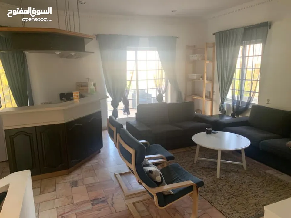 furnished villa for rent in al rabiah  ( Property 41482 )-174804636