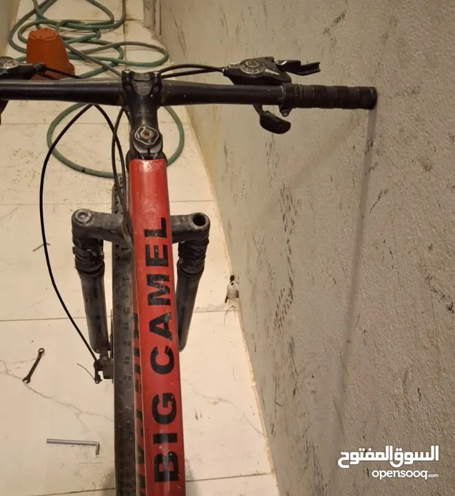 سيكل للبيع ماركته Big camel