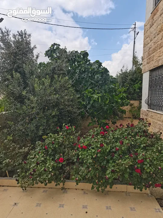 شقق  للبيع يوجد وصف بالبناء بالتفصيل مرفق بالإعلان ممكن بيع شقق وممكن العمارة كاملة