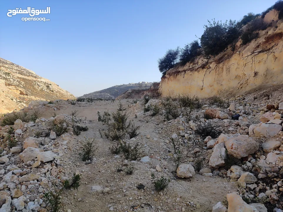 ارض للبيع 1000 متر طابو ابو نجيم