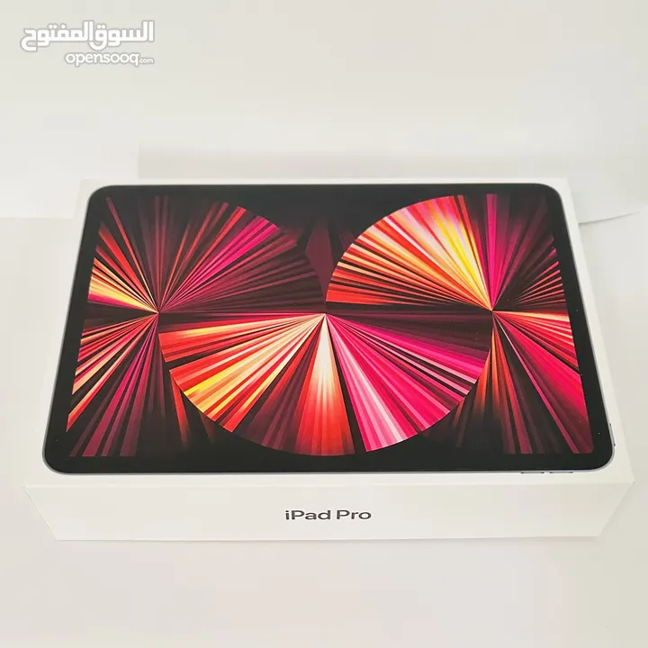 iPad Pro M1