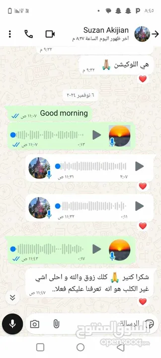 جراء بودل مستويات عالية جدا جدا جدا اهالي استيراد خارجي مستويات خرافية تسليم في أي عياده بيطرية