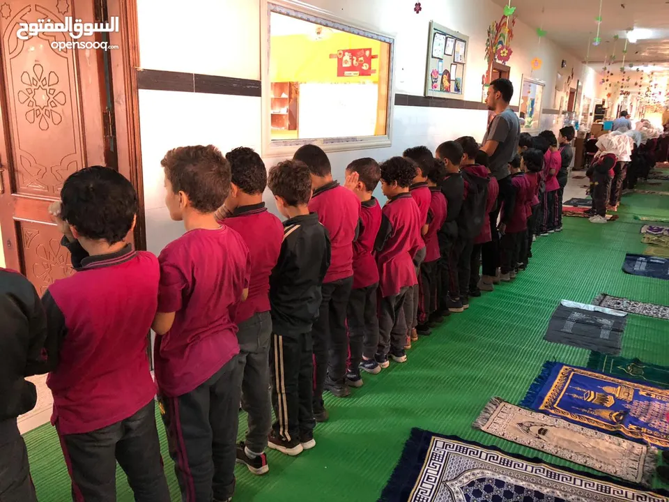 مدرس إنجليزية . English tutor  مستر محمود المصري ، مدرب لغة إنجليزية معتمد من القوات المسلحة .