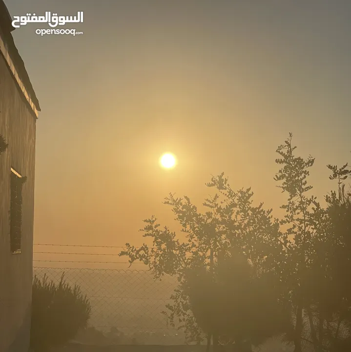 ارض للبيع 1100م منطقه الصره