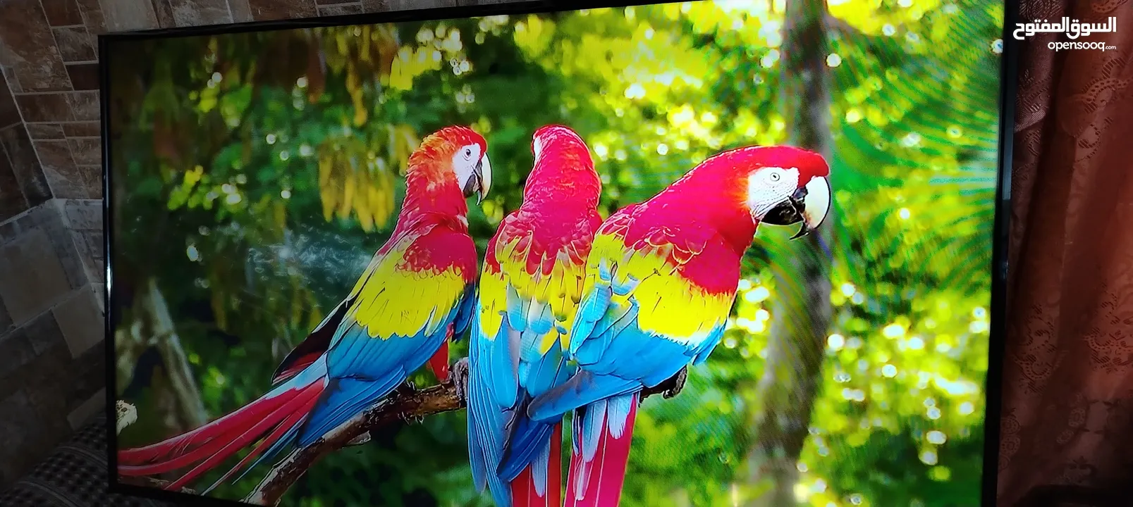 شاشه سكاي وورث 50 ال اي دي