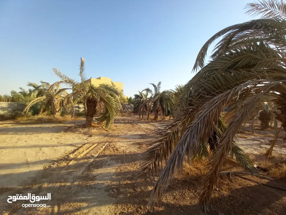 ارض للبيع من المالك مباشرة