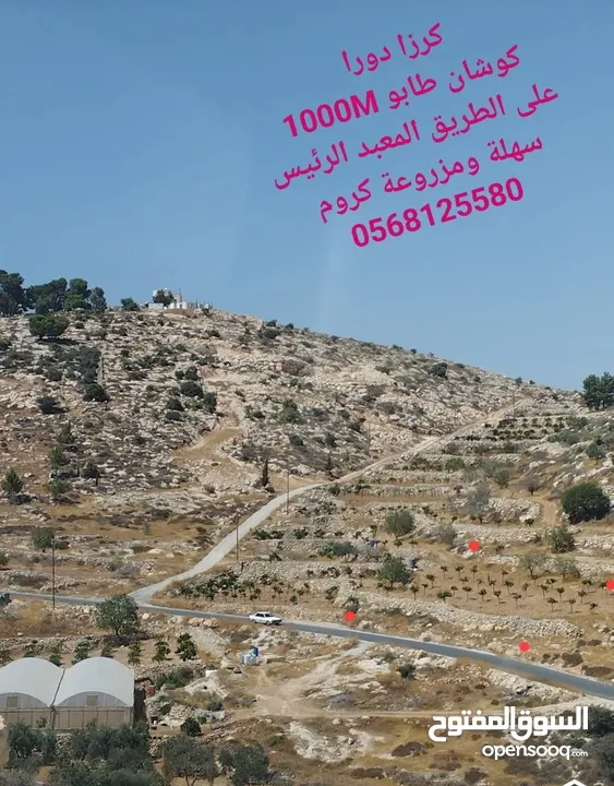 دونم أرض للبيع في كرزا /دورا
